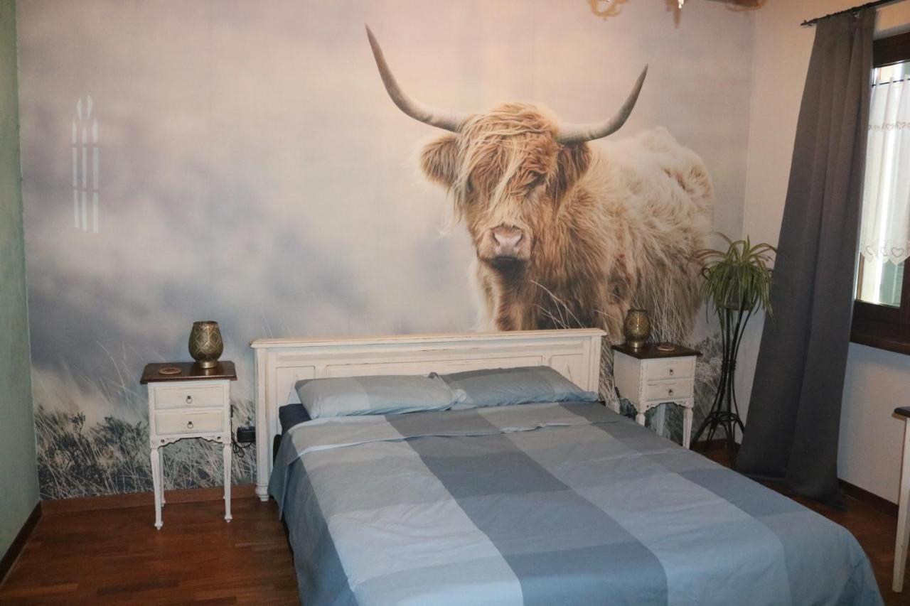 B&B Acquagrossa San Martino Buon Albergo Exterior foto