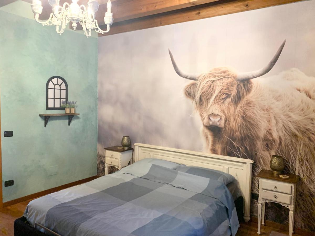B&B Acquagrossa San Martino Buon Albergo Exterior foto